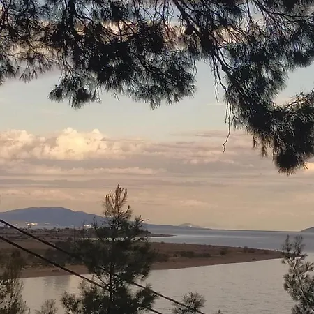 Pefkonas 100 M From The Psakoudia
