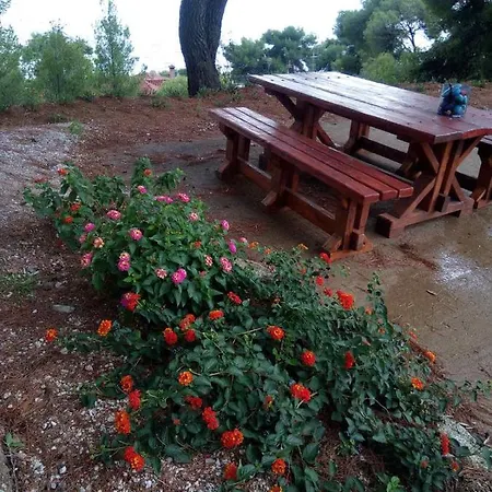 Pefkonas 100 M From The Daire Psakoudia