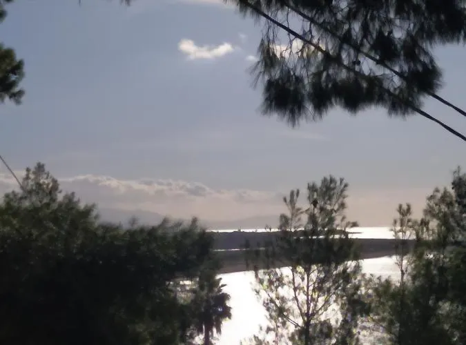 דירה Pefkonas 100 M From The פסאקודיה
