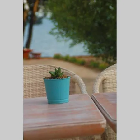 Apartament Pefkonas 100 M From The *