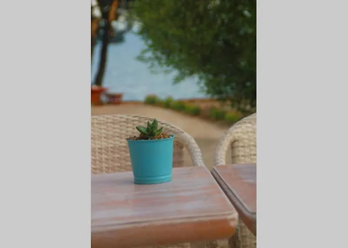 Apartamento Pefkonas 100 M From The *