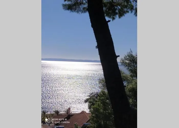 Apartamento Pefkonas 100 M From The Psakoudia