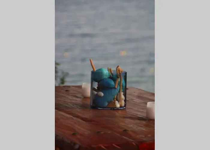 Pefkonas 100 M From The Apartamento *