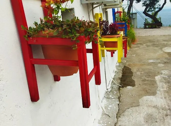 Pefkonas 100 M From The *