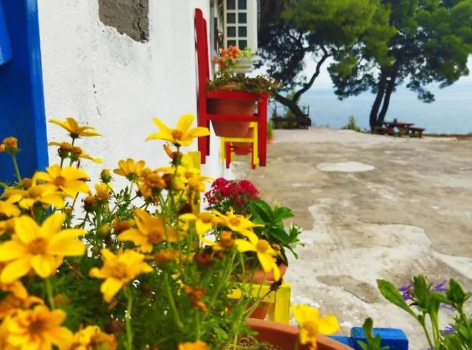 Pefkonas 100 M From The * Psakoudia