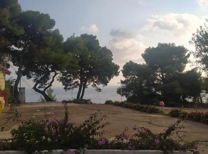 Pefkonas 100 M From The *