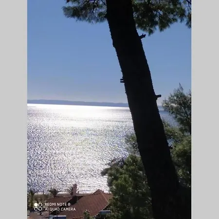 Διαμέρισμα Pefkonas 100 M From The Ψακούδια