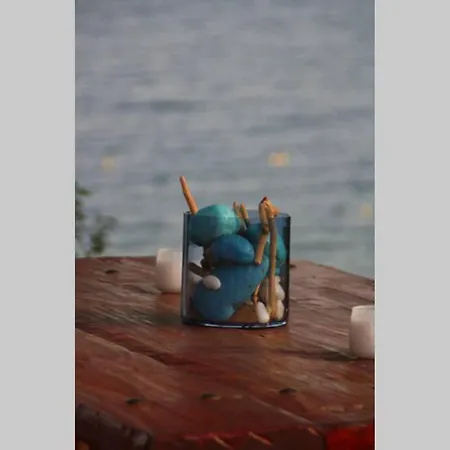 Pefkonas 100 M From The Apartmán *