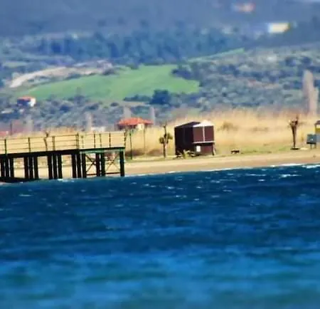 Διαμέρισμα Pefkonas 100 M From The