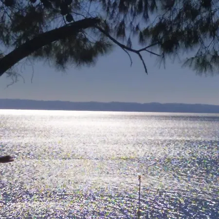 Pefkonas 100 M From The Διαμέρισμα *