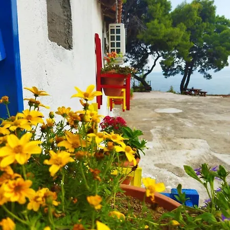 Pefkonas 100 M From The * Psakoudia