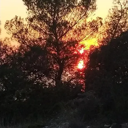 Διαμέρισμα Pefkonas 100 M From The *