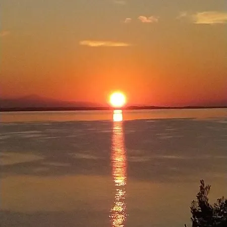 Pefkonas 100 M From The Διαμέρισμα