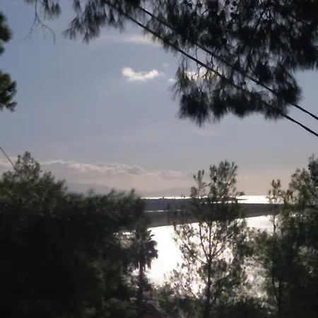 Διαμέρισμα Pefkonas 100 M From The Ψακούδια