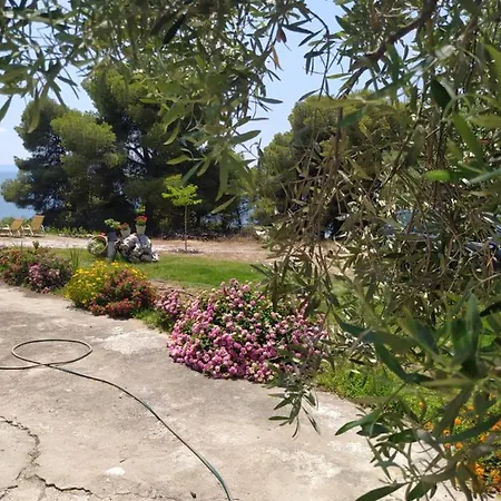 Pefkonas 100 M From The