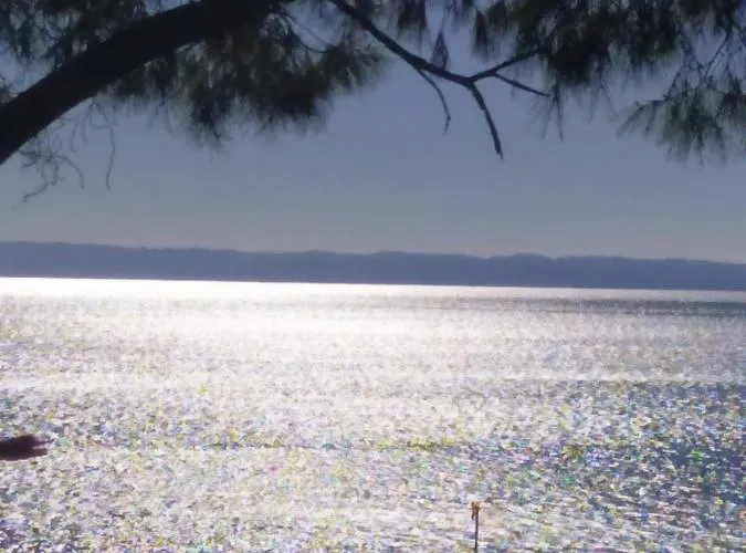 Pefkonas 100 M From The Apartament *