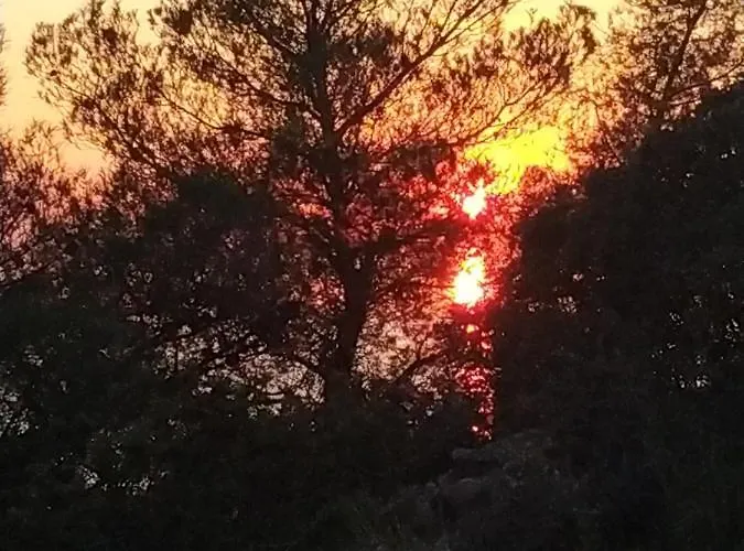 Apartament Pefkonas 100 M From The *