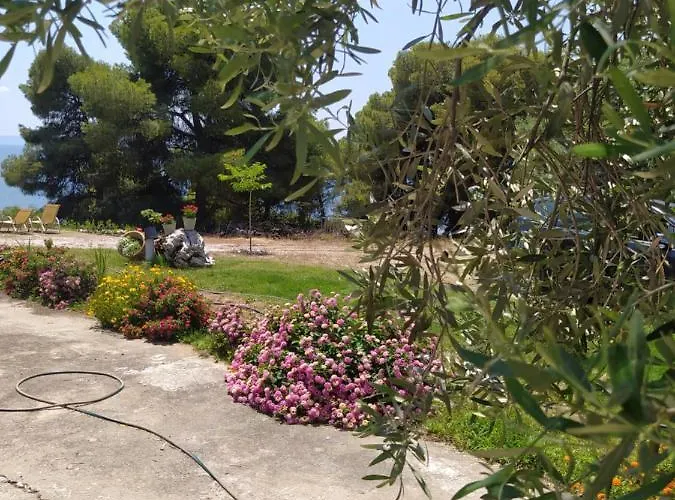 Pefkonas 100 M From The