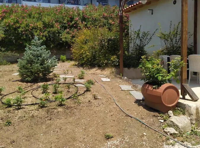 Pefkonas 100 M From The *